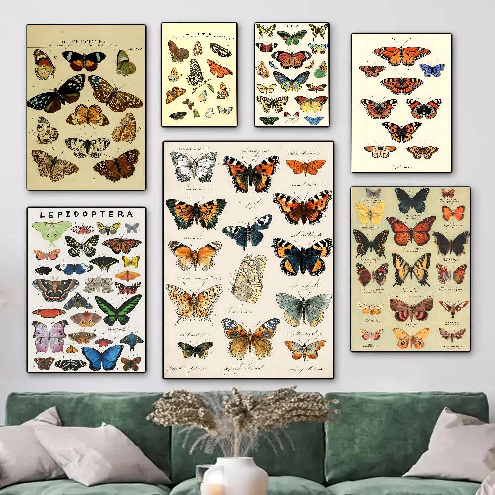 Vintage Collectible Posters - Plakaty z kolekcją motyli i owadów
