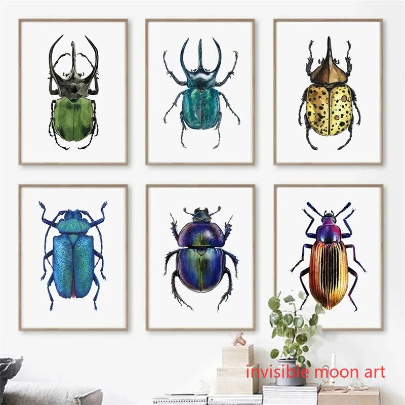 Vintage Collectible Posters - Vintage Insect Art Colorful Beetle Collection