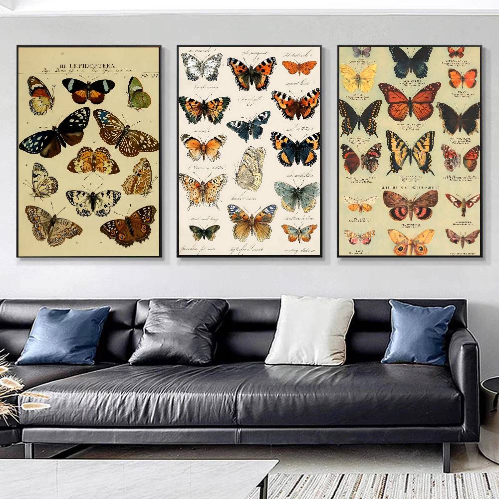 Plakaty z kolekcją motyli i ow – Vintage Collectible Posters recenzja i cena