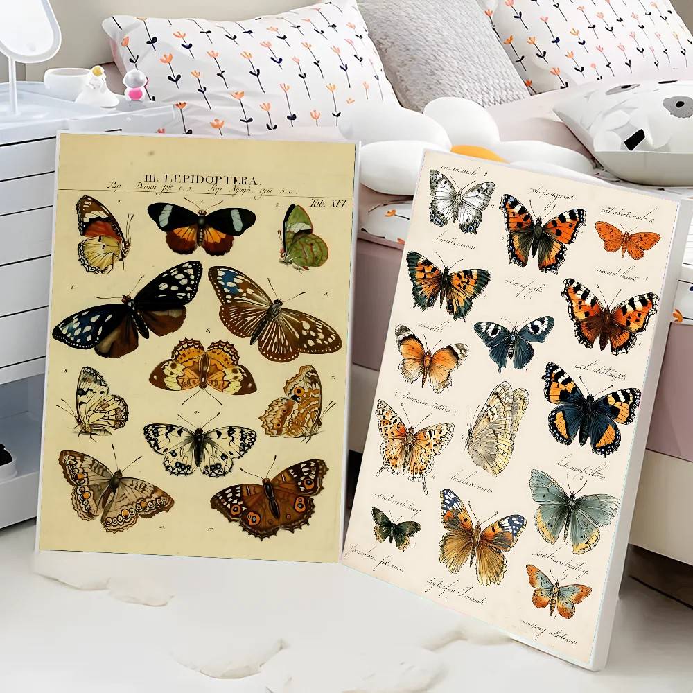 Plakaty z kolekcją motyli i ow – Vintage Collectible Posters recenzja i cena