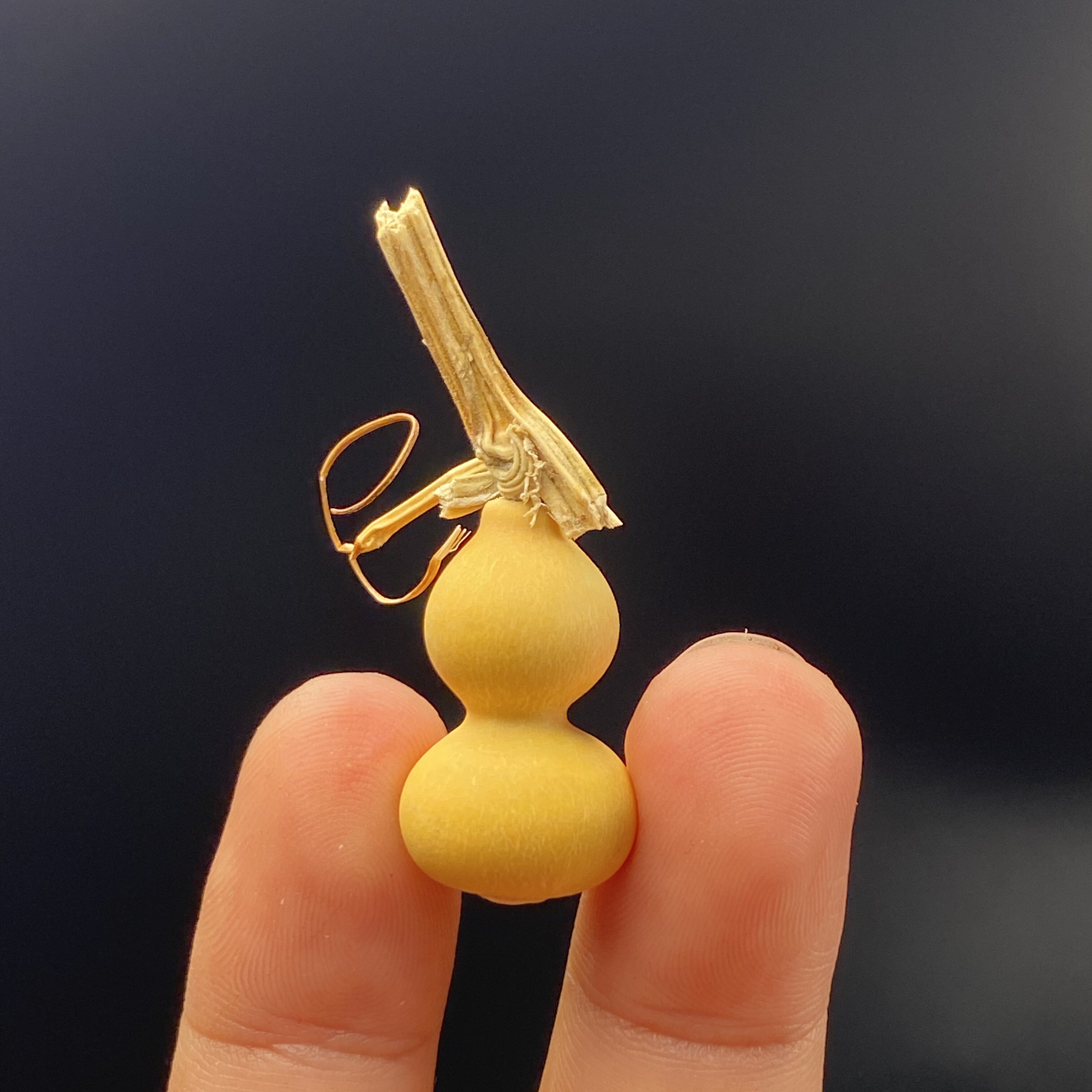 Naturalna mini tykwa w kształc – Vintage Collectible Christmas Ornaments recenzja i cena