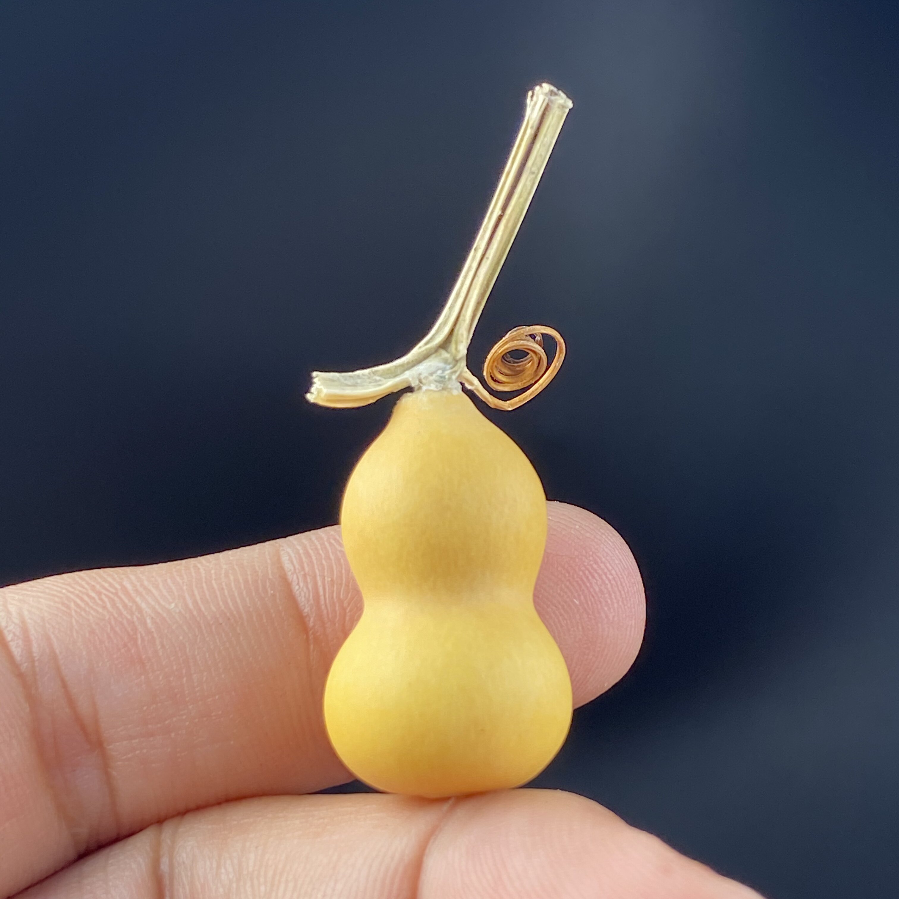 Naturalna mini tykwa w kształc – Vintage Collectible Christmas Ornaments recenzja i cena